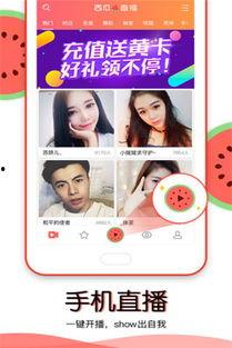 吃瓜视频在线观看免费版