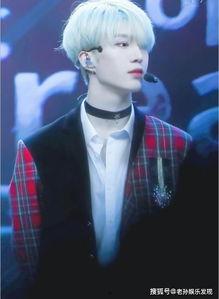 网络大瓜 明星大侦探第五季,揭秘娱乐圈悬疑大案，明星侦探团再掀探案热潮