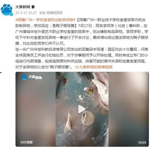 吃瓜视频大全高清 911爆料精彩瞬间 明星黑料一览表,吃瓜视频大全，911爆料瞬间，明星黑料一览